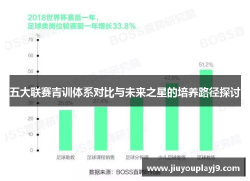 五大联赛青训体系对比与未来之星的培养路径探讨